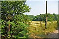 Pheasanthouse Farm Meadow