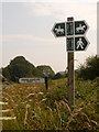 SY7192 : Stinsford: various signposts at Higher Kingston by Chris Downer