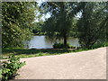 Pond In Dearne Valley Park