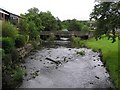 Ballinamallard River