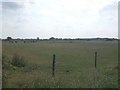 Grazing land alongside the River Torne