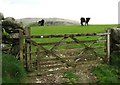 Gate to field