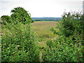 From the North Downs Way, Wrotham