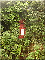 ST3602 : Thorncombe: postbox № TA20 505, School House by Chris Downer