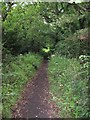 Bridleway near Willaston