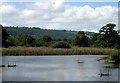 ST5559 : Chew Valley Lake by Sharon Loxton