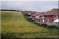 Field at edge Housing Estate