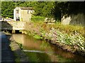 Tems Beck Giggleswick