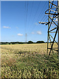 TQ5308 : Electricity Pylons near Sessingham Farm by Simon Carey