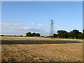 Electricity Pylon near Arlington