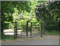 Gate between the car park and the pinetum, Cuerden Valley Park