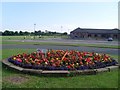 Flowerbed near Staining