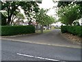 Cemetery Gates