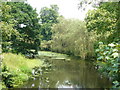 River Eden, Hever, Kent