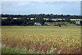 Cropland at Bossington