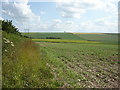 Field  Scene  looking  down  into  Broach  dale