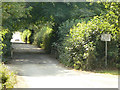 Lane at Holme Pierrepont