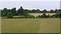 View Near Woodmansterne, Surrey