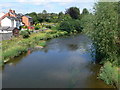 The River Severn at Newtown