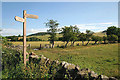 A signpost for the St Cuthbert