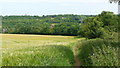 View Near Hooley, Surrey