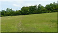 Footpath at Hooley, Surrey