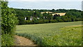 View at Hooley, Surrey