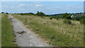 Bridleway on Farthing Downs