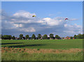 Kites over Hearsall Common