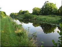 N8542 : Royal Canal west of Fern's Lock, Co. Meath by JP