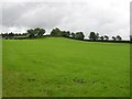 Ranelly Townland