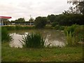 Burbage: the pond