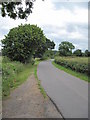 Private Road/Footpath to Catton Hall