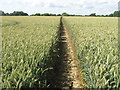 Footpath to Hareplain Road