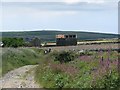 Track to derelict farm buildings on Bosullow Common