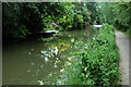 Oxford Canal