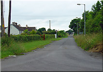 N5740 : South end of Ballinabrackey, Co. Meath by Dylan Moore
