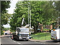 Replacing street light on Medway Road