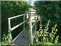 Footbridge towards Little Bubhurst Farm