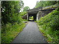 Cycle Track Near South Ballachulish