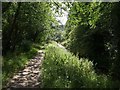 Path by St Austell River