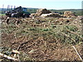 Timber Stacks