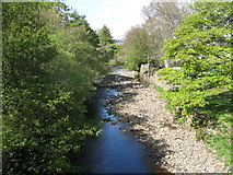NY9038 : The River Wear upstream of the bridge at Westgate by Mike Quinn