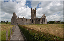 R6027 : Kilmallock Dominican Friary by Mike Searle
