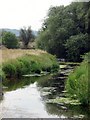 River Yeo