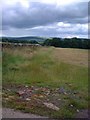 Farmland near Greenhead