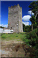W5849 : Castles of Munster: Kilgobbin, Cork by Mike Searle