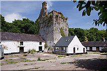 R6607 : Castles of Munster: Wallstown, Cork by Mike Searle