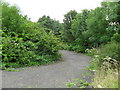 Overgrown Public Park, Ladas Drive