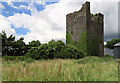 S1020 : Castles of Munster: Ballindoney, Tipperary by Mike Searle